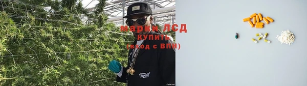 ГАЛЛЮЦИНОГЕННЫЕ ГРИБЫ Аркадак